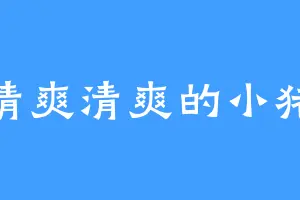 清爽清爽的小猪
