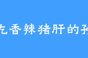 爱吃香辣猪肝的孙儒