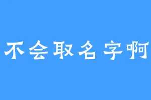 不会取名字啊