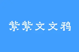 紫紫文文鸦