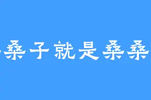 桑桑子就是桑桑子