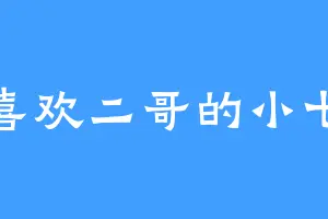 喜欢二哥的小七