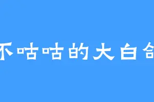 不咕咕的大白鸽