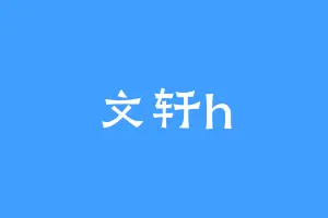 文轩h