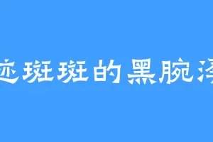 劣迹斑斑的黑腕泽法