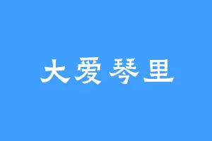 大爱琴里