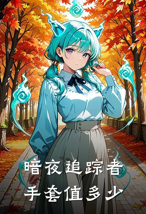 暗夜追踪者手套值多少