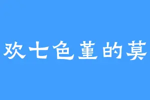 喜欢七色堇的莫兄