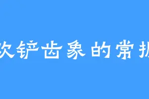 喜欢铲齿象的常振宁