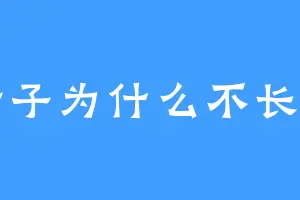 叶子为什么不长了