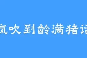 疯吹到龄满猪话