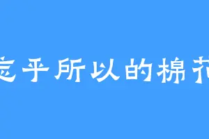 忘乎所以的棉花