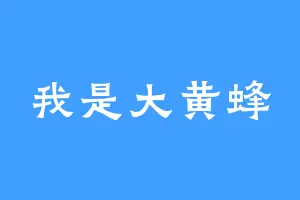 我是大黄蜂