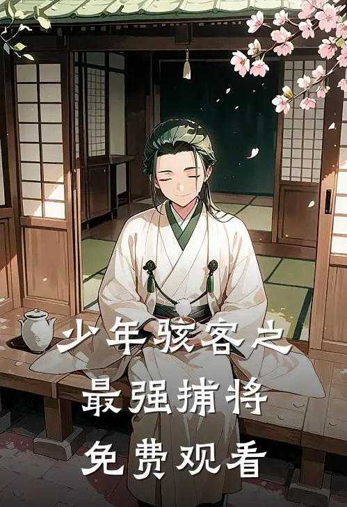 少年骇客之最强捕将免费观看