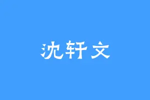 沈轩文