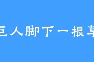 巨人脚下一根草