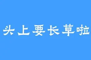 头上要长草啦