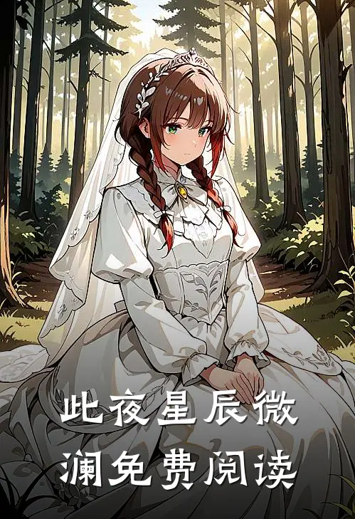 此夜星辰微澜免费阅读