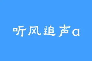 听风追声a