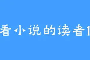 爱看小说的读者123